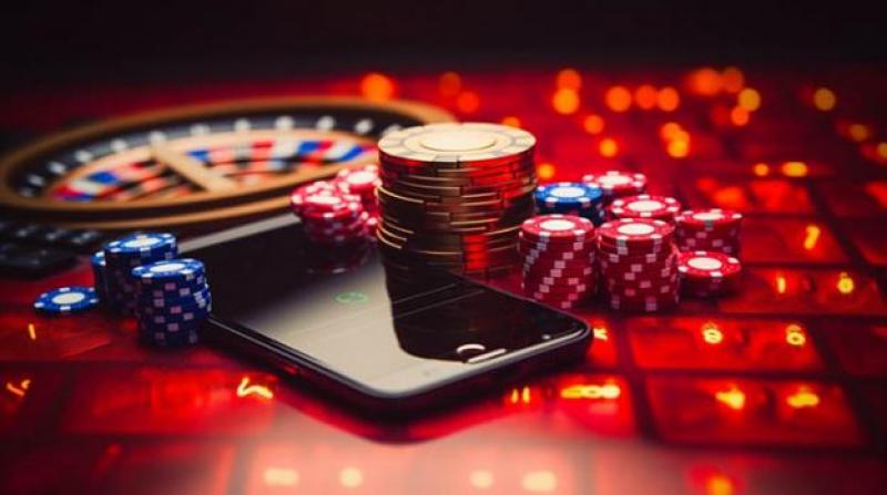 Discover the Excitement at Amigo Wins Casino Discover the Excitement at Amigo Wins Casino