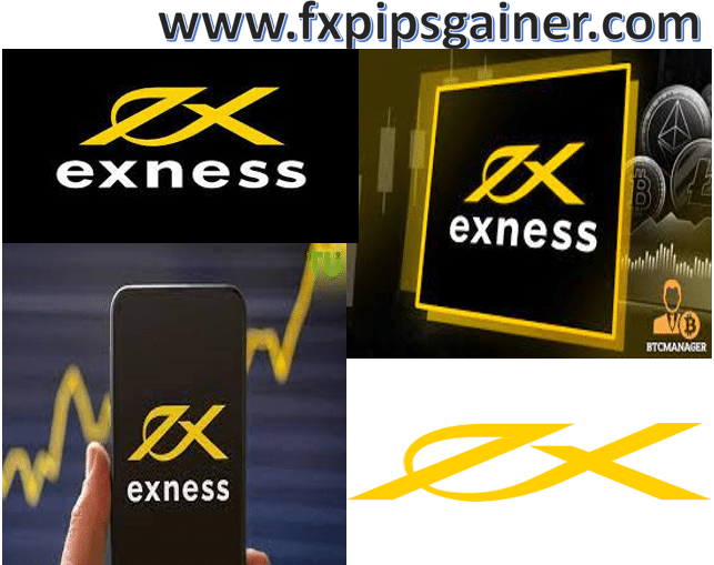 Exploring the Potentials of the live Exness platform