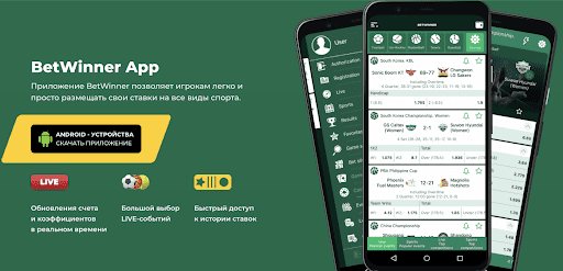 Exploring Betwinner Your Guide to a Winning Experience